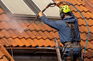 Démoussage et hydrofuge de toiture à Thiézac